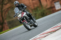 Oulton-Park-14th-March-2020;PJ-Motorsport-Photography-2020;anglesey;brands-hatch;cadwell-park;croft;donington-park;enduro-digital-images;event-digital-images;eventdigitalimages;mallory;no-limits;oulton-park;peter-wileman-photography;racing-digital-images;silverstone;snetterton;trackday-digital-images;trackday-photos;vmcc-banbury-run;welsh-2-day-enduro